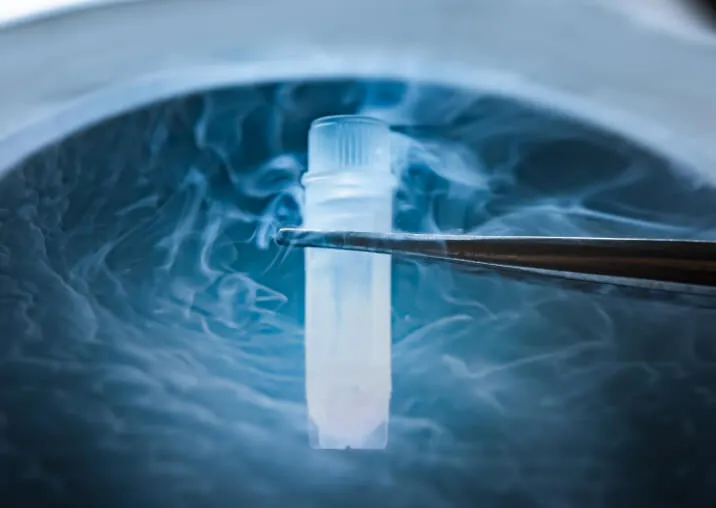Egg Freezing Process in Singapore